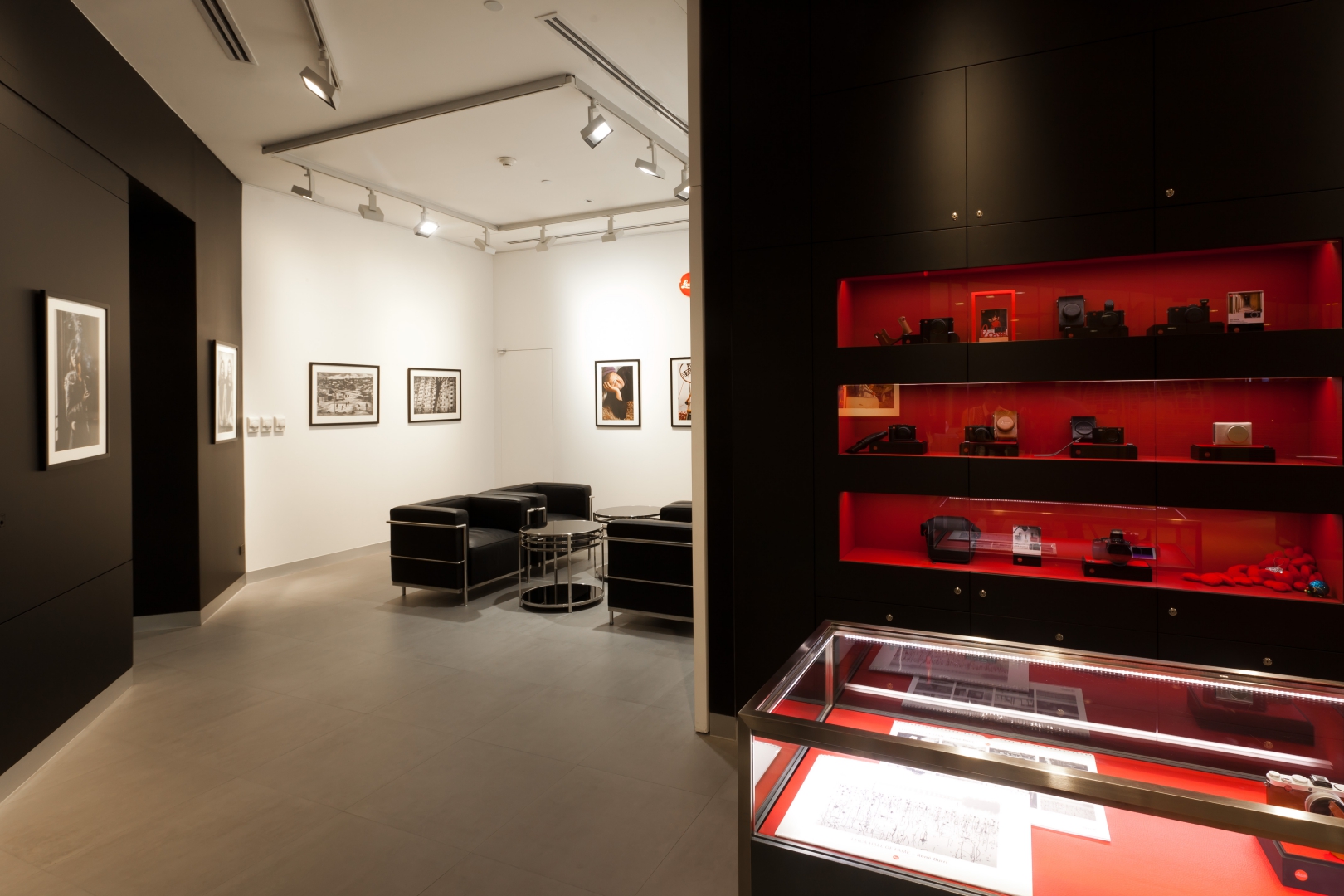 Leica image 4